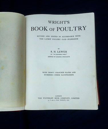 Opening Page
