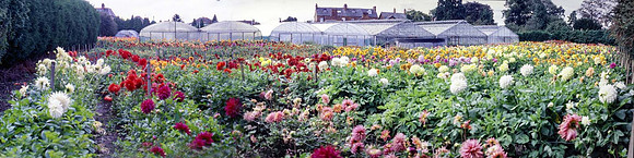 Panorama Philip Tivey ans son nursery