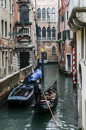 Venice Carnival