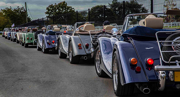 Many Morgans
