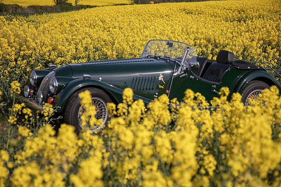 Morgan in rapefield_3
