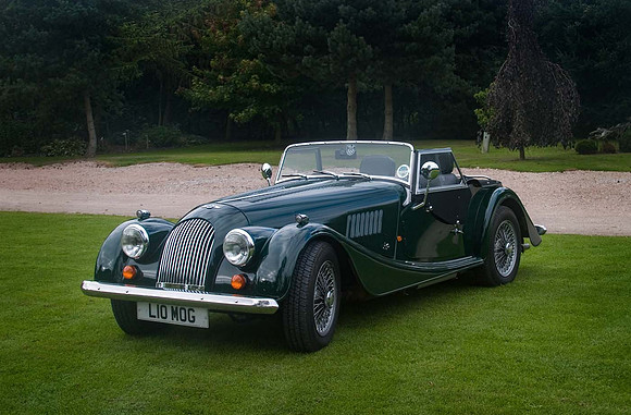 Portrait of a Morgan