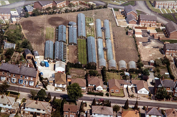 Philip Tivey and Son nursery 1973
