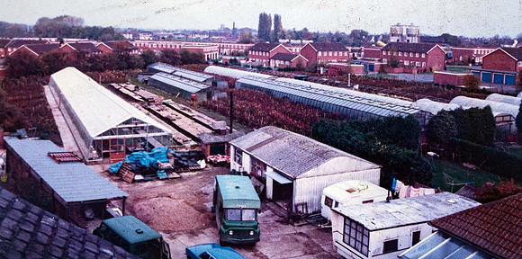 Philip Tivey and Son nursery 1975