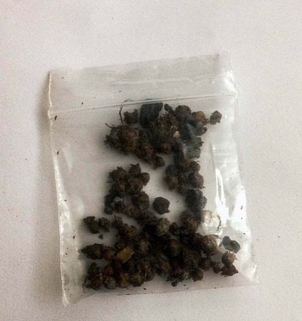 A packet of bulbils