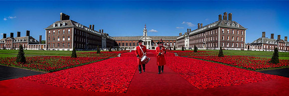 Poppy display Chelsea hospital 2016