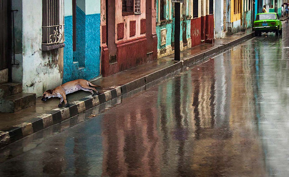 After the rain