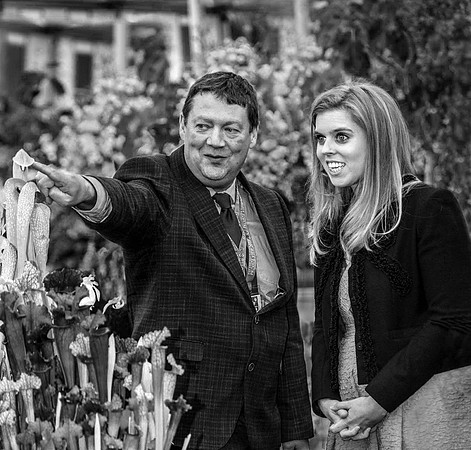 Enthusiastic Royal - Chelsea Flower Show