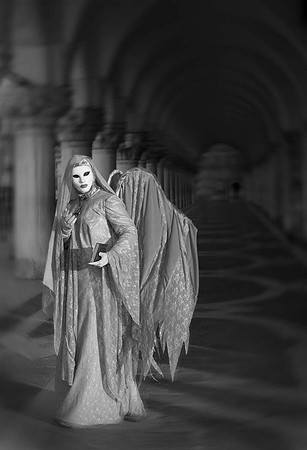Gray Lady - Venice