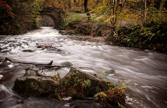 May Beck - North York Moors