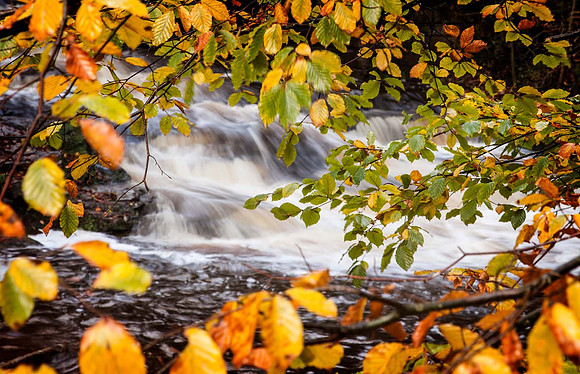 May Beck - North York Moors
