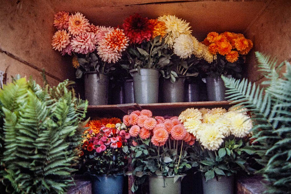 Packing flowers into the van