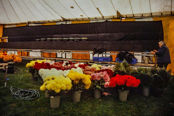 Preparing to set up floral display