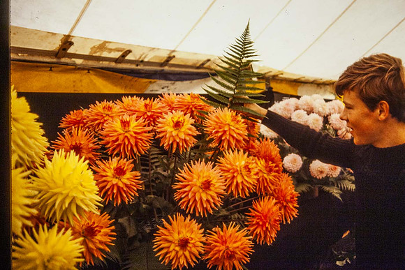 Some fern being added to the arrangements