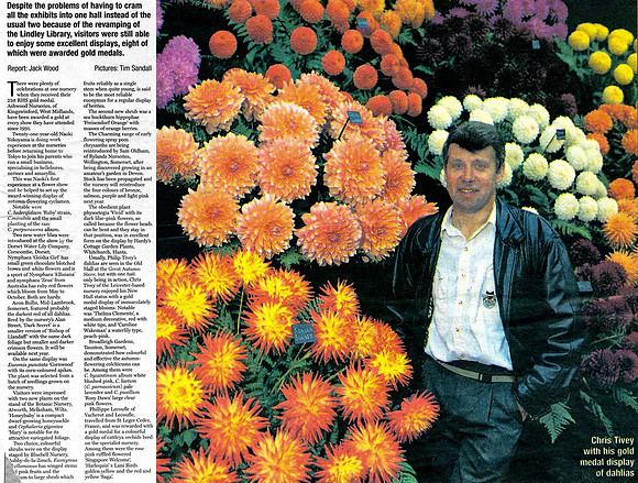 Chris Gold medal RHS Autumn Times Article 90s