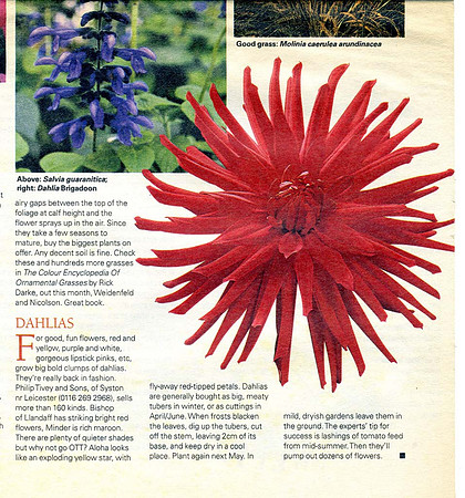 Sunday Express magazine 90s