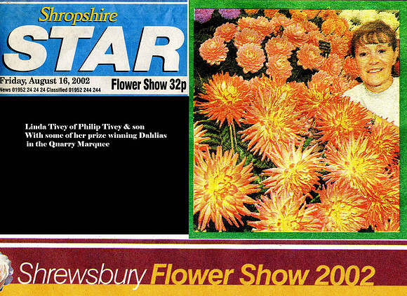 Shrewsbury Shopshire Star 2002