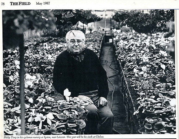 The Field Magazine article for the Chelsea flower show Philip Tivey with Cyclamen