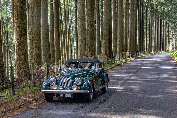 Elan Valley trees-Mid Wales