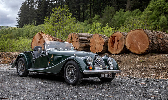 Elan Valley-Trunks-Mid Wales